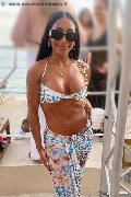 Foto 3331867209 Transescort Sanremo Vivy Noronha - 18