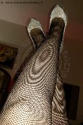 Foto 3383177449 Mistress Messina Mistress Dea Isabella - 15