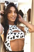 Foto 3509335566 Transescort Imola Brunna Campanaro - 103