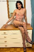 Foto 3512604780 Travescort Genova Elisa - 21