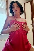 Foto 3520490894 Transescort Pordenone Bruna - 1