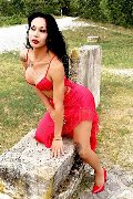 Foto 3891399263 Transescort Adriana Paulett - 339