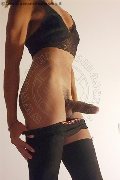 Foto Hot 3203868114 Trav Milano Giulia Cavali Attiva - 89