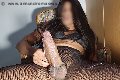 Foto Hot 3203868114 Travescort Milano Giulia Cavali Attiva - 183