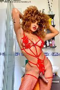 Foto Hot 3295563971 Trans Milano Stella - 5