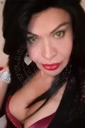 Prato Trans Tain� Oliveira 328 53 82 487 foto selfie 149