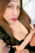 Milano Trans Escort Stefany 333 11 10 156 foto selfie 11