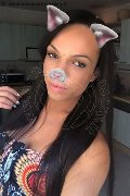 Genova Trans Escort Dior 347 28 25 420 foto selfie 103