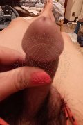 Pordenone Trans Escort Ladyboy Carlina 350 95 76 839 foto selfie 6